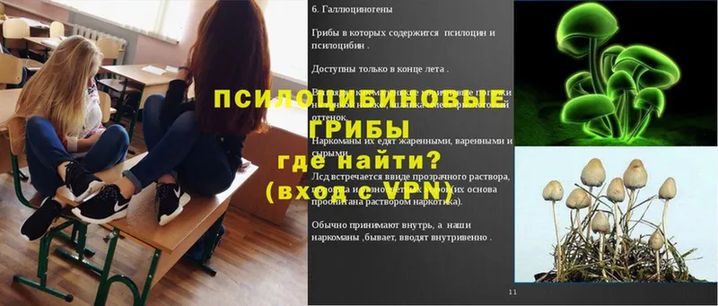 Галлюциногенные грибы мухоморы  Стрежевой 